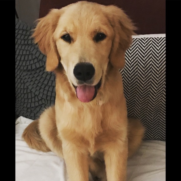 Other - About My Closet!